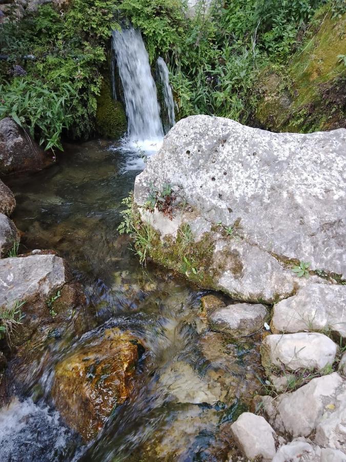 Habitacion De La Marquesa Alcoleja Exteriör bild